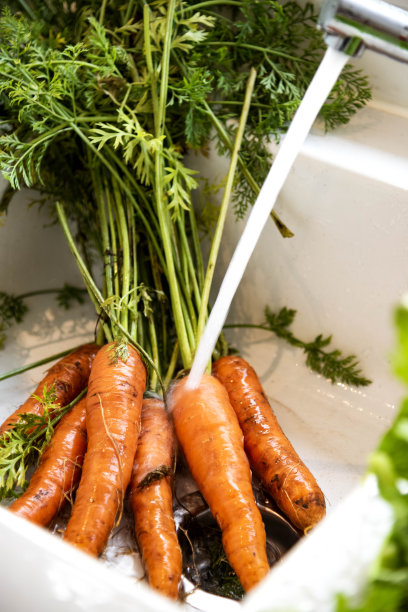 自家种植的新鲜收获的胡萝卜正在水龙头下清洗-库存照片图片下载