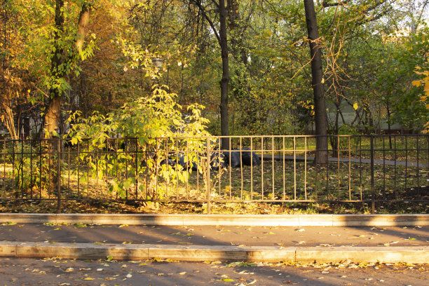 俄罗斯莫斯科市中心街道上的秋景图片下载