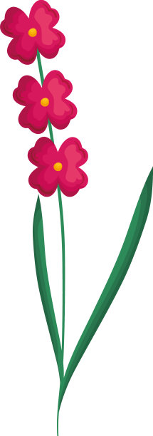 粉红色的花杆图片下载