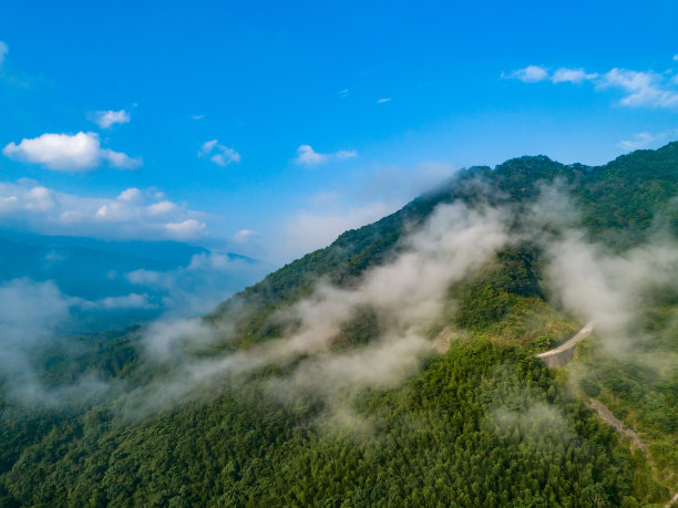 高空云海和青山绿林的航拍照片图片下载