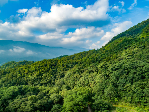 高空云海和青山绿林的航拍照片图片下载