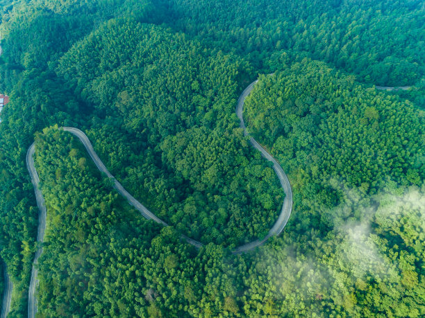 航拍蜿蜒的山路和绿色的森林图片下载