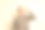 照片中，冷静严肃的拉丁男子握着厨师的手，手指亲吻着米色背景下美味的意大利食物。图片下载