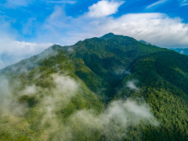 高空云海和青山绿林的航拍照片图片下载