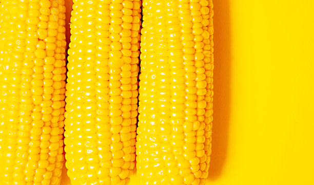 色蔬菜。玉米的背景。黄色背景上新鲜玉米的特写。玉米的质地。明亮的夏日背景，画面中有夏日的蔬菜和节奏。时尚的图片下载