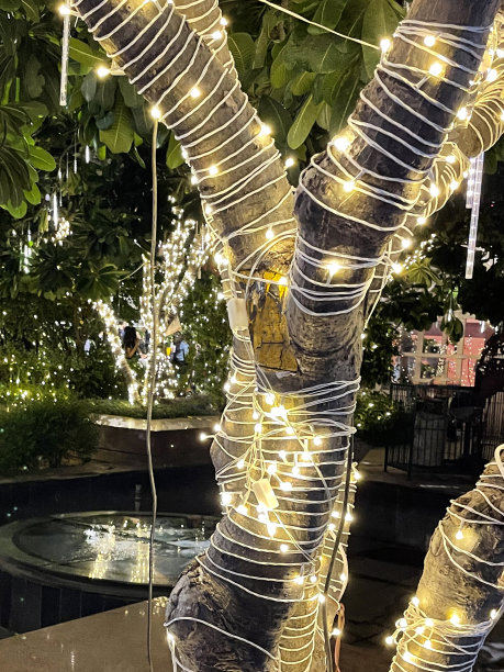 花园装饰的LED绳仙女灯的特写图像包裹着光秃秃的树干和树枝，白色照明的季节性装饰图片下载