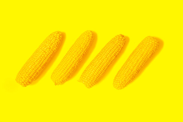 色蔬菜。玉米的背景。黄色背景上新鲜玉米的特写。玉米的质地。明亮的夏日背景，画面中有夏日的蔬菜和节奏。时尚的图片下载