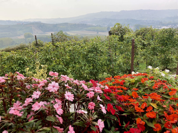 意大利皮埃蒙特大区-格林赞内卡沃尔村图片下载
