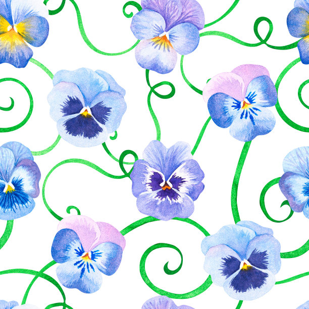 无缝的紫色的模式。三色紫罗兰。水彩插图。孤立在白色背景上。图片下载