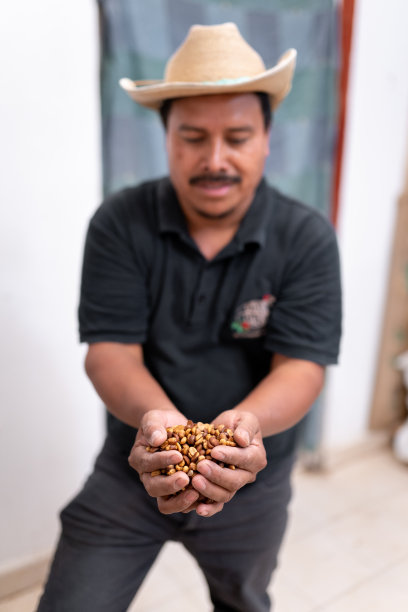 一位西班牙农民正在用手抓一些红蜂蜜咖啡豆图片下载