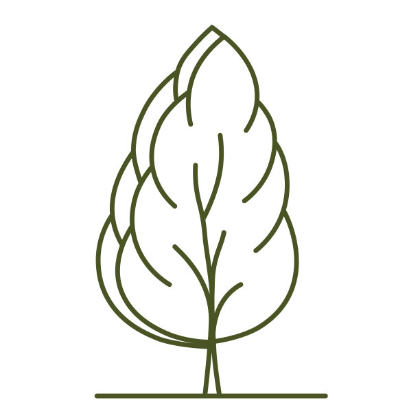 树的建筑规划。随行人员设计。图片下载