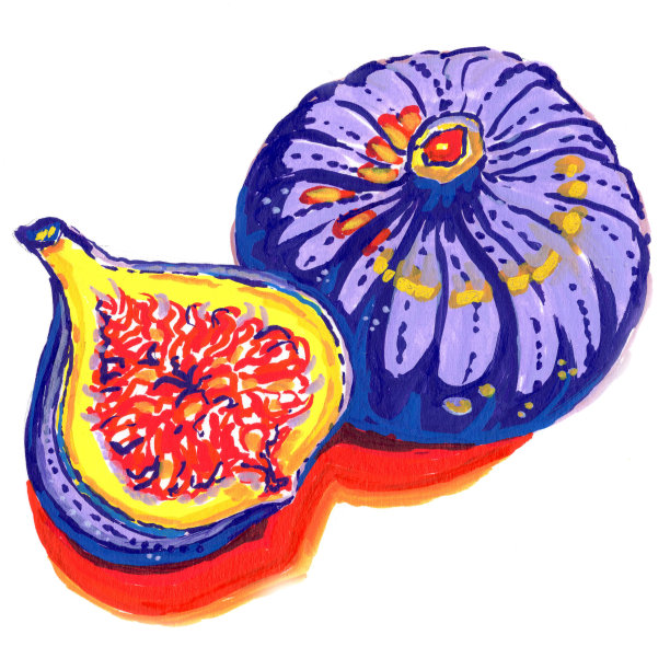 白底无花果图片下载