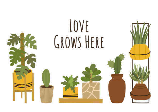 动机明信片与热带室内植物在花盆。设计明信片，贺卡，海报，邀请，概念，传单，卡片，传单图片下载