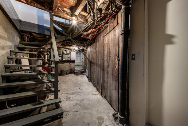 加拿大蒙特利尔老房子里翻新的现代公寓图片下载