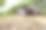 亚洲年轻人一起在绿色公园里趴着。健康的生活方式和户外生活的理念。图片下载
