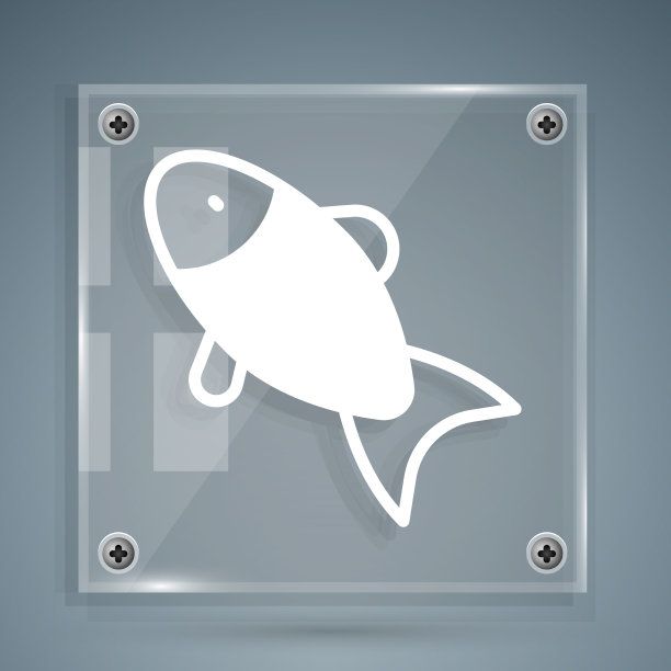 白色鱼图标孤立在灰色背景图片下载