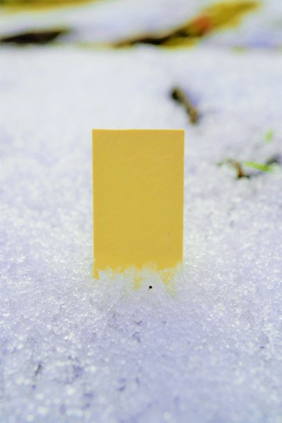 黄色评论空间的模型卡在浅雪中图片下载