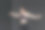 一个漂亮的棕发女孩跳现代舞。黑暗的背景。光滑的身体动作。一个年轻的运动女性的工作室肖像。女性的概念。图片下载