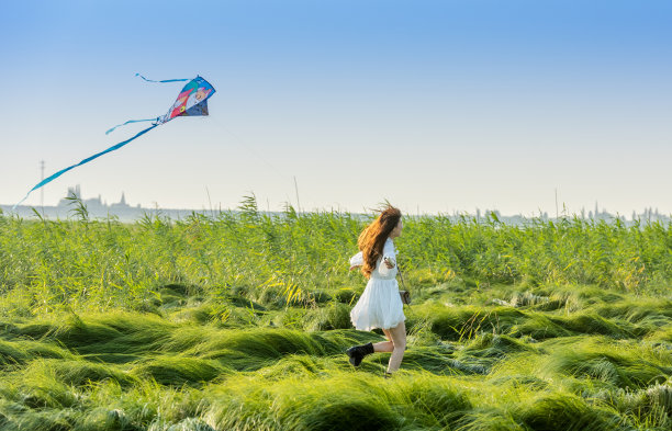 女孩在绿色的草地上放风筝图片下载