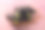 在铁碗里的茄子特写图片下载