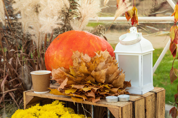 万圣节的概念，万圣节的装饰品。秋天的装饰。图片下载