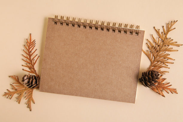 牛皮纸空白，秋叶背景。秋天的模型。秋天的构图，秋天的概念。平铺，俯视图和复制空间。图片下载