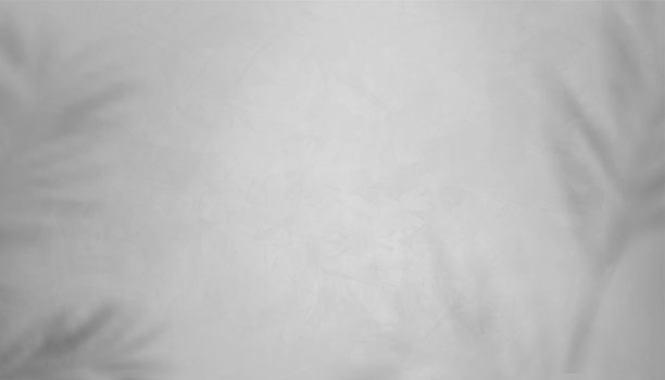 灰色水泥纹理与树叶阴影在墙上，空灰色混凝土地板房间表面粗糙的裂缝图案的矢量3D背景。Banner背景元素为阁楼设计概念图片下载