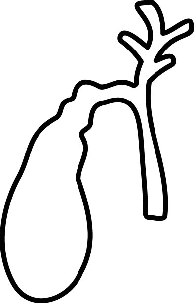 胆囊概念，绿色胆囊矢量轮廓图标设计，器官系统符号，人体解剖标志，人体部分库存插图图片下载