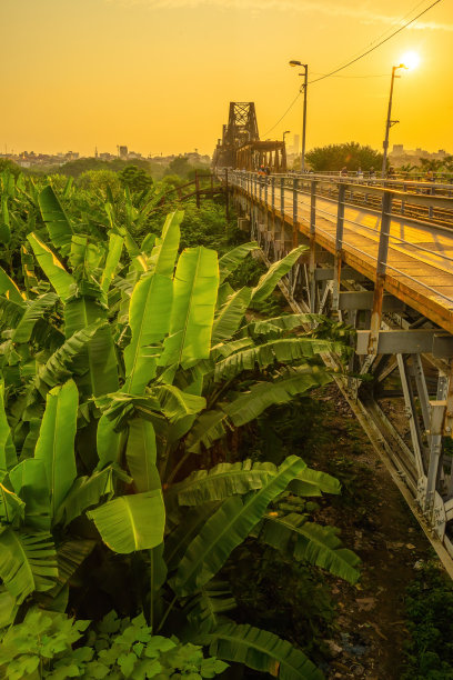 越南河内市红河上的龙边桥图片下载