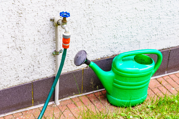 在菜园里浇灌绿罐子图片下载