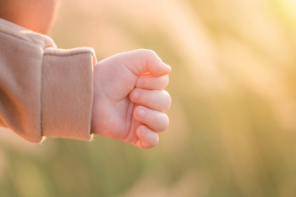 婴儿的手在自然落日的光线下的水平照片。图片下载