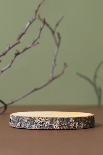 木片台子放在棕色的桌子上，绿色的背景上有树枝的影子。精品空景，用于产品推广、美容、天然生态化妆品。展示,显示情况。图片下载