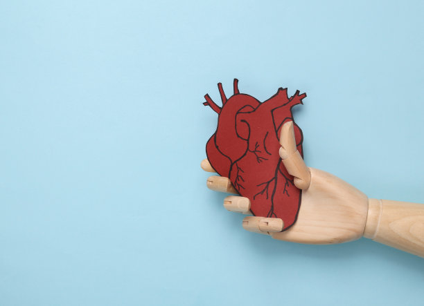 木制的手拿着蓝色背景的解剖剪纸心脏。医学概念。健康强壮的心脏。俯视图图片下载