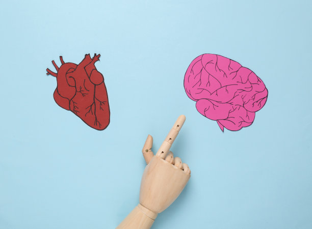 用头脑思考或用心倾听的概念。蓝色背景图片下载