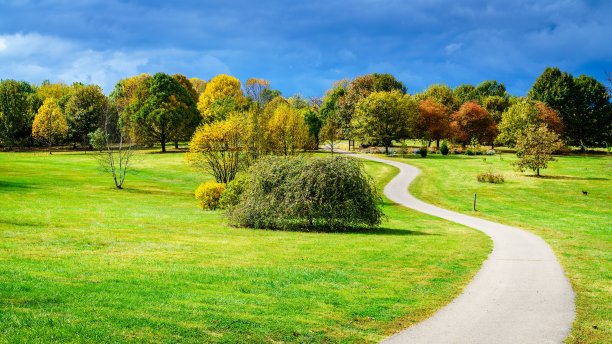 植物园中图片下载