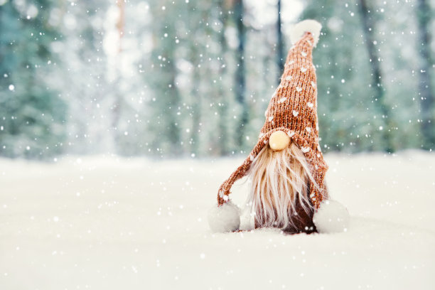 圣诞卡片上有可爱的小精灵在下雪的冬天森林，复制空间。童话降雪图片下载