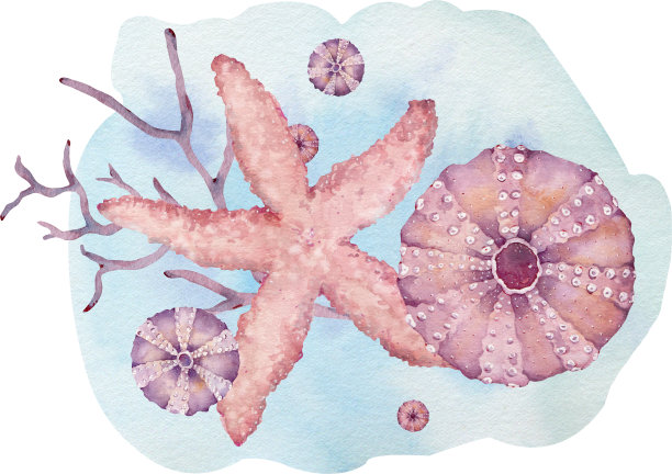 水彩插图的水下贝壳，海星和海藻在蓝色的水背景。海洋组成。图片下载