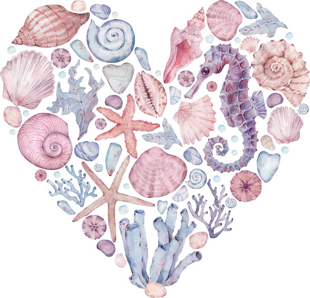 心形印花与水彩海洋元素。插图与海马，海星，贝壳，珊瑚，海藻。图片下载