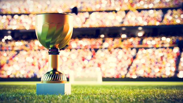 足球场上的足球或足球奖杯图片下载