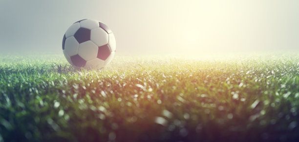 足球草地上的足球图片下载