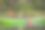 快乐的小男孩在河上划着独木舟，享受着一个可爱的夏日图片下载