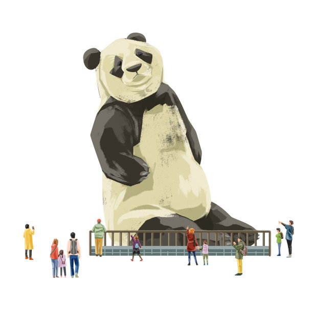 人们在动物园欣赏熊猫图片下载