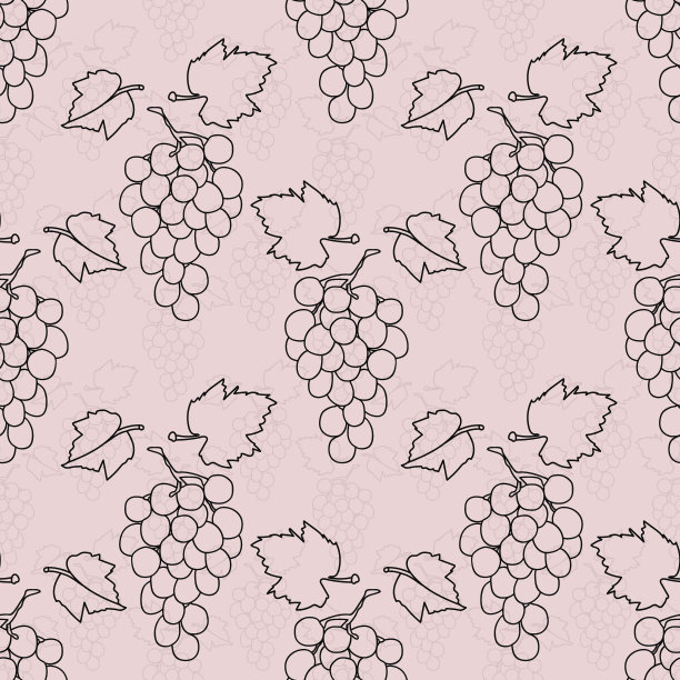 葡萄品种红衣主教图片下载