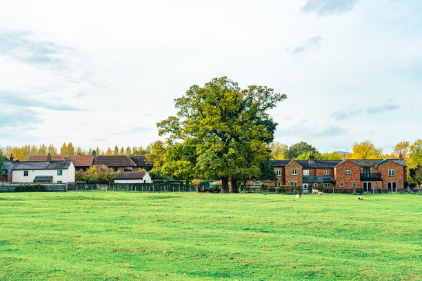 公园夏季景观图片下载