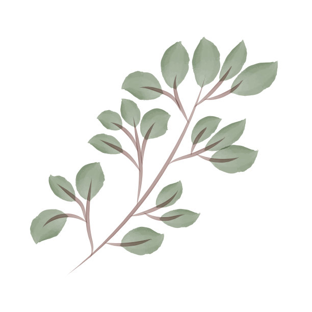 水彩分支。矢量图图片下载