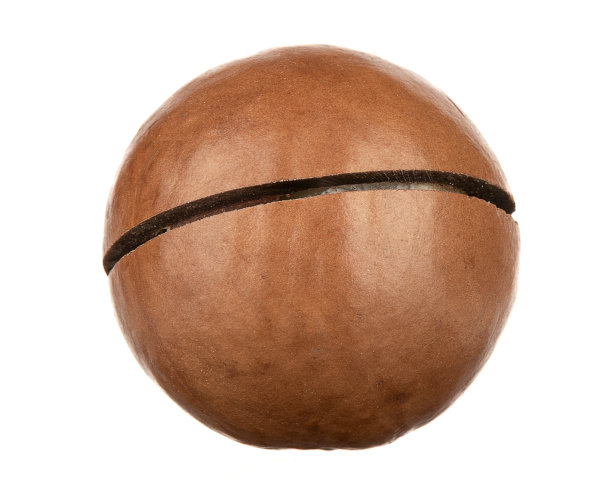 夏威夷坚果的宏观镜头与一个切口的壳孤立在白色背景。图片下载