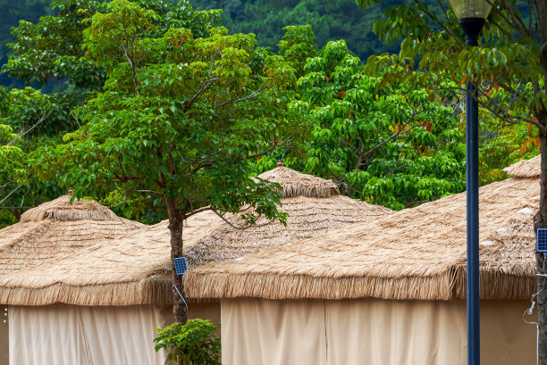 用于户外露营的大帐篷的特写图片下载