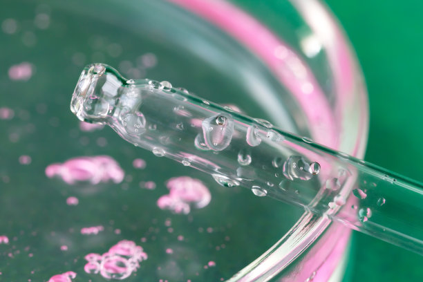 移液管滴入液滴和培养皿特写图片下载