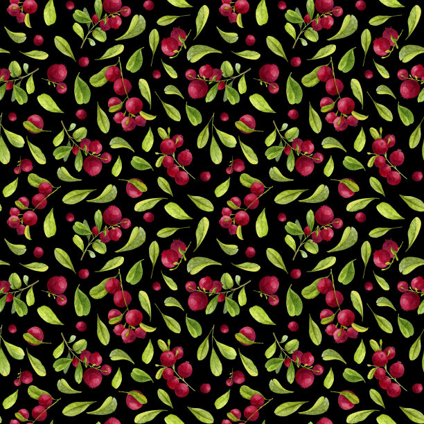 无缝模式与红色蔓越莓在黑色背景。水彩图片下载