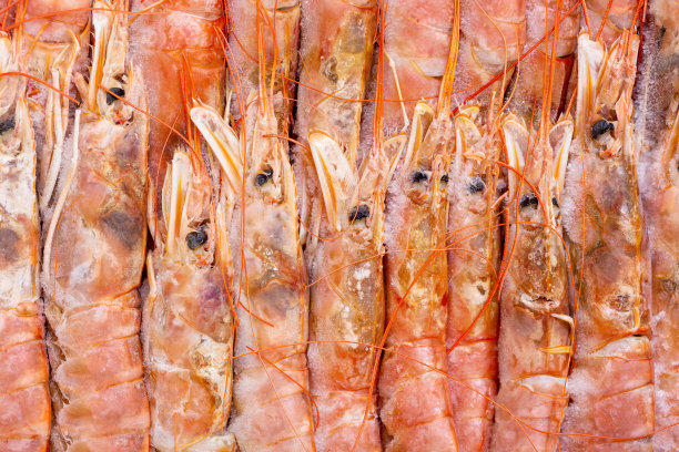 新鲜冻红生虾。俯视图图片下载